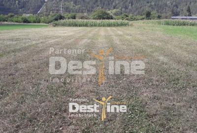 Teren de vanzare Pangarati 58.500 Euro 4488mp Intravilan - 3