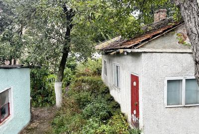 Apartament in casa | Curte individuala - 8