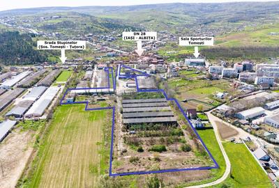 Teren Industrial 3Ha și Hală 1000mp de Vânzare în Tomesti - IAȘI - 1
