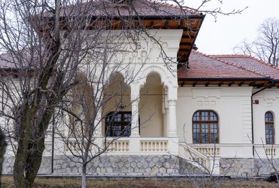Oportunitate rară la Văratec, Neamț – ansamblu privat conac monument istoric - 20
