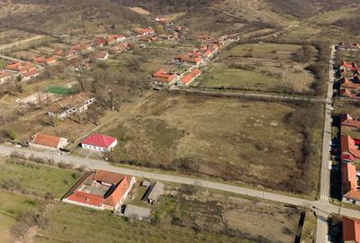 Conac nobiliar de secol XIX cu 8 camere în Maciova - 7
