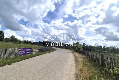 Vânzare teren intravilan *3262 mp -  Baia de Fier - potențial turistic* - 3