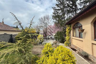 Casa 5 camere, de inchiriat, centrala proprie, Giarmata Mare - 12