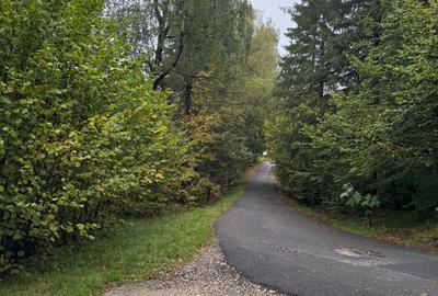 Teren Intravilan, 4629 mp, Certificat Urbanism, potential de crestere valorica, - 1