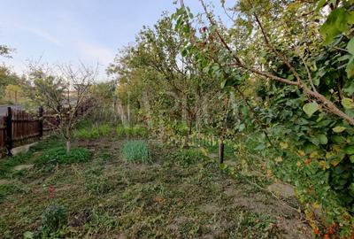 Casa 7 camere de vanzare in Dambul Rotund, Cluj Napoca - 5