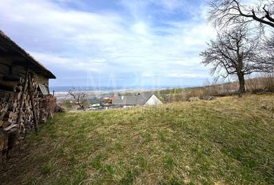 Teren intravilan pentru constructii de vanzare in Feleacu - 8