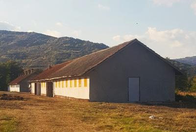Vand teren  500 m p , 1000 mp  , 17500 mp intravilan , negociabil. - 5