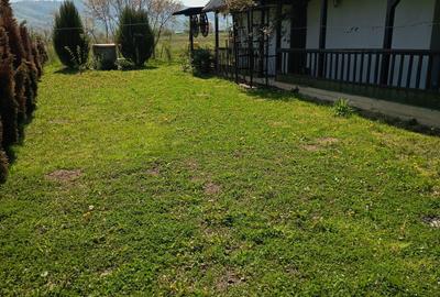Casa de vacanta la Surduc - 5