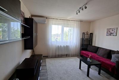 Apartament 3 camere la 10 minute de Timișoara - 14