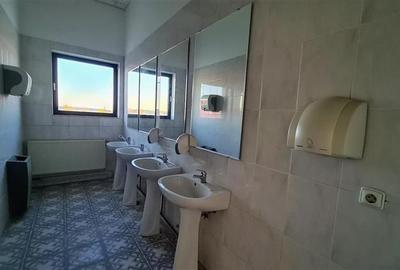 Spatiu show room, 1500 mp , parcare , Calea Lugojului - 6