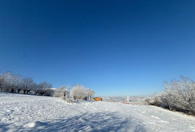 Teren intravilan intre 500 si 1000 mp   in zona Bran - 7