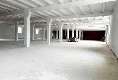 Hala industriala 500 mp Arad, zonă în dezvoltare, disponibila imediat! - 3