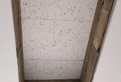 Mosnita Veche - Duplex P+pod - Su:72mp+30mp - Centrala proprie - langa Lidl - 8