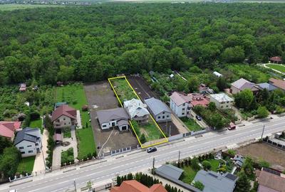 Vila P+1 de vanzare in Petresti - Crang - 4