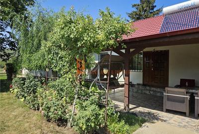 Casa tip parter + beci si teren 4684 mp in Candesti, Vernesti - 27