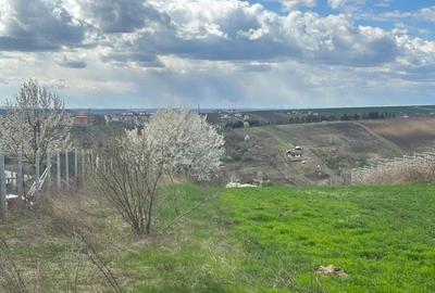 Teren intravilan 3271 mp Valea Lupului, Iași deschidere la asfalt 1 Decembrie - 5