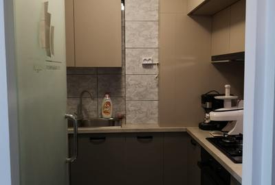 Unirii Mircea Voda, 90mp, 2 bai, 1/7, dec., AC, renov/mobil/utilat, vedere blvd, - 10