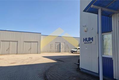 Hala industriala de vanzare in loc. Sfantul Gheorghe, jud. Covasna - 14