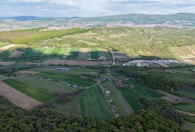 Teren INTRAVILAN cu PUZ, 2.200 eur/ar, rezidental, str. Razboieni - Centura - 2