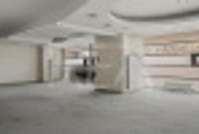 Inchiriere Spatiu Comercial - Sos. Pantelimon 1085 mp - 6