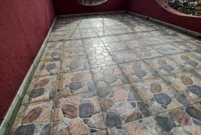 Vila P+1+M, 300mp construiti ,TOTUL NOU  Chercea Mobilat - 17