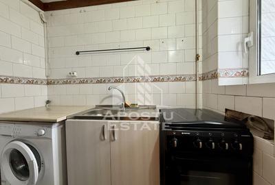 Apartament cu o camera de vanzare Ultracentral Timisoara - 10