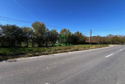 Teren Construcții intravilan de 4860 mp, în Copăcelu