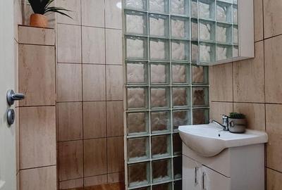 Dristor - Aleea Moreni - Garsoniera mobilata , bloc mixt - 7