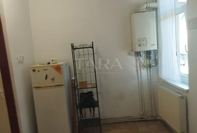 Apartament cu 1 Cameră și Curte – Gruia, Zonă de Case - 4
