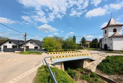 Vila LUX, Hemeius-Primarie - 2
