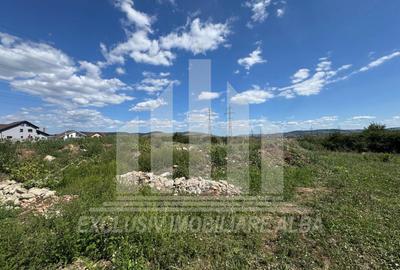 Teren intravilan | 450 mp | 13 ml deschidere | Alba-Micesti - 1