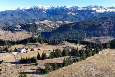 Priveliste Bugeci, Magura, Piatra Craiului | PUZ aprobat Pensiune - 1