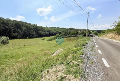 Vand teren 2500 mp in Unirii zona Laboratorului Denisa - 2