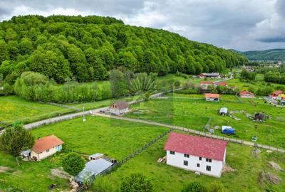 Teren de 2.300 mp în satul Buzăiel, Vama Buzăului - 5