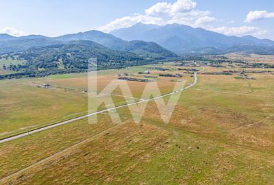 Teren : Parcele de 1.000 mp în Glăjerie, Râșnov - comision 0% pentru cumpărător! - 8