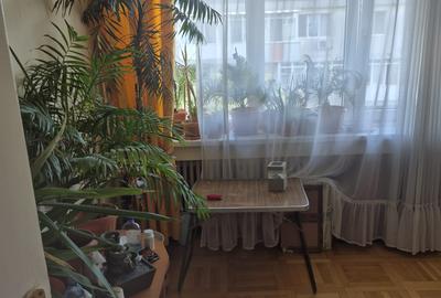 3Camere Ion Mihalache - 4