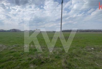 TEREN INTRAVILAN 1000 MP CARCEA - ZONA HANUL CU PONEI - 4