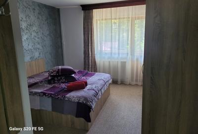 Vila turistica de vanzare in Busteni - 8