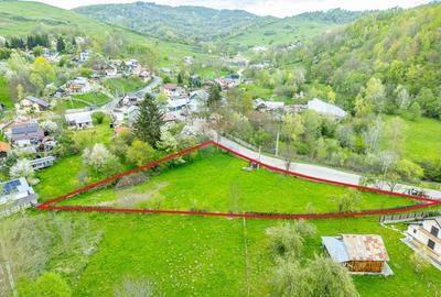 Teren intravilan 2221 mp Breaza / Strada Ocinei / Valea Tarsei - 2