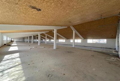 Hala depozitare - productie Iasi, Ciohorani, 3510mp - 3