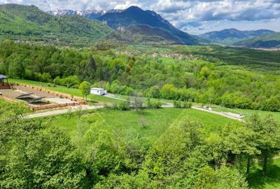 Teren 500mp-1000-2000mp, intravilan, intre Bran si Zarnesti (Tohanita) - 13