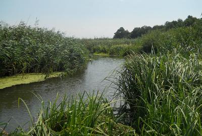 Comana intravilan, ultim lot (din 15), Delta, gaze, privat rate/credit - 7