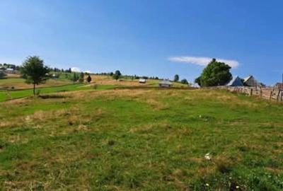 Teren intravilan, 4300mp, Maguri Racatau - 1