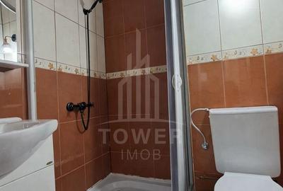 Apartament 3 camere – cochet/ de închiriat/ cartier Terezian - 10
