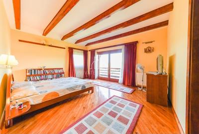 Vila/Proprietate Speciala, 500mp utili, 3300mp teren, Sangeorgiu de Ms - 23