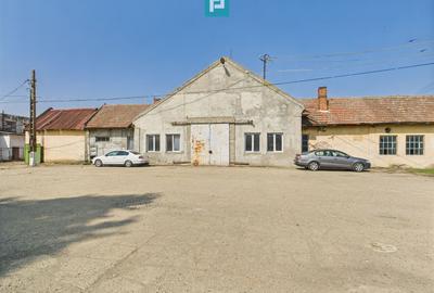 Complex industrial cu hale și teren  în Orțișoara - 5