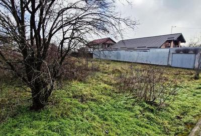 Buftea-Independentei - 3