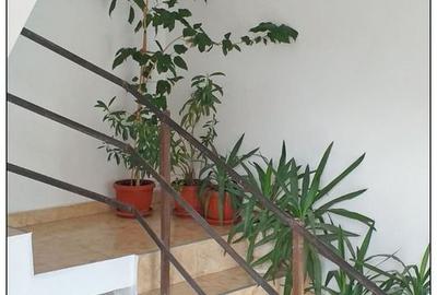 Vanzare Casa Str Lunga Carierei - 13