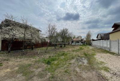 Vanzare Teren intravilan Berceni - 6