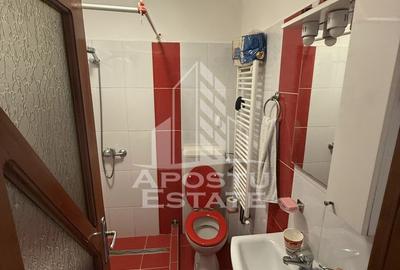 Apartament cu o camera, decomandat,mobilat si utilat,zona Buziasului - 8